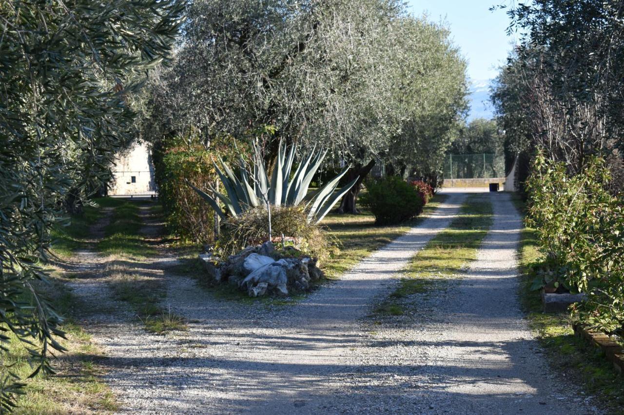 فيلا Casa Ulivo Montinelle المظهر الخارجي الصورة